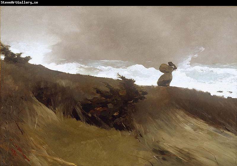 Winslow Homer The West Wind